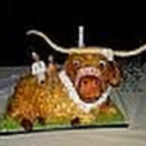 Meet your Posher, Anil